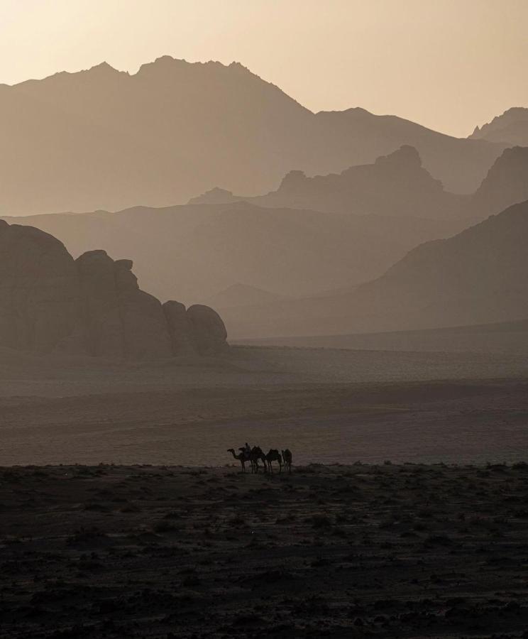 Wadirum Zeid Camp&Tours Wadi Rum Ngoại thất bức ảnh