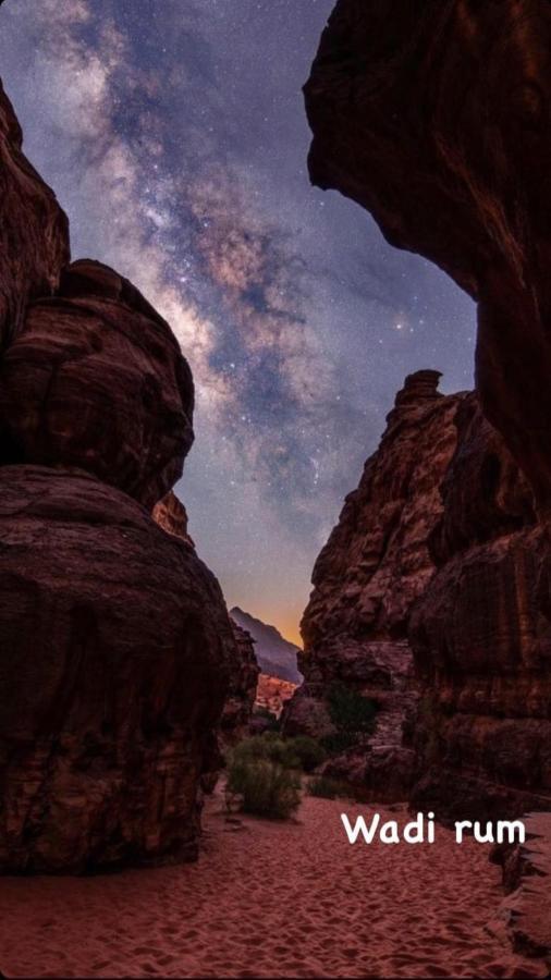 Wadirum Zeid Camp&Tours Wadi Rum Ngoại thất bức ảnh
