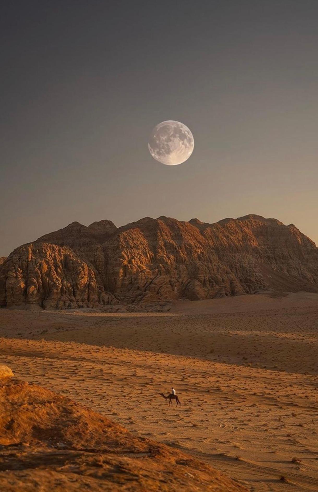 Wadirum Zeid Camp&Tours Wadi Rum Ngoại thất bức ảnh
