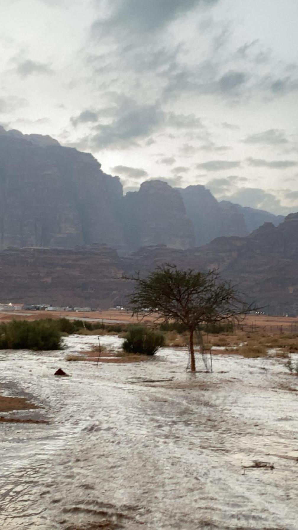Wadirum Zeid Camp&Tours Wadi Rum Ngoại thất bức ảnh